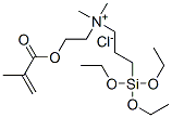 dimethyl[2-[(2-methyl-1-oxoallyl)oxy]ethyl][3-(triethoxysilyl)propyl]ammonium chloride 结构式