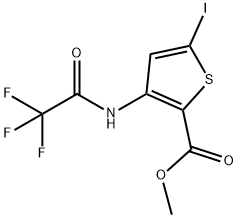 5-碘-3-(2,2,2-三氟乙酰氨基)噻吩-2-羧酸甲酯 结构式
