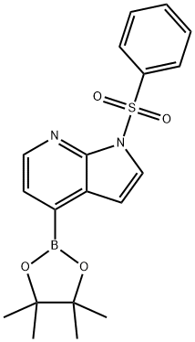 1-(苯磺酰基)-4-(4,4,5,5-四甲基-1,3,2-二氧硼烷-2-基)-1H-吡咯并[2,3-B]吡啶 结构式