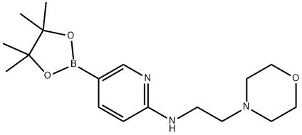 2-(2-吗啉乙氨基)吡啶-5-硼酸频那醇酯 结构式