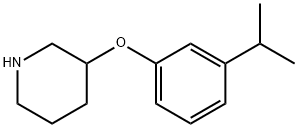 3-(3-异丙基苯氧基)哌啶 结构式