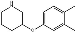 3-(3,4-DIMETHYLPHENOXY)PIPERIDINE 结构式