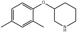 3-(2,4-DIMETHYLPHENOXY)PIPERIDINE 结构式