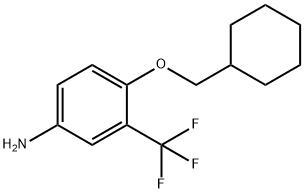 BenzenaMine, 4-(cyclohexylMethoxy)-3-(trifluoroMethyl)- 结构式