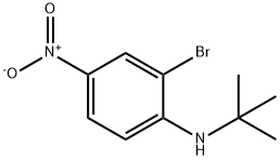 N-T-BUTYL 2-BROMO-4-NITROANILINE 结构式