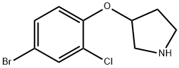 3-(4-Bromo-2-chloro-phenoxy)-pyrrolidine 结构式