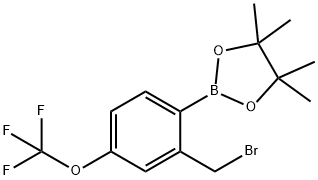 2-BROMOMETHYL-4-TRIFLUOROMETHOXYPHENYLBORONIC ACID, PINACOL ESTER 结构式