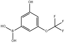 3-HYDROXY-5-(TRIFLUOROMETHOXY)PHENYLBORONIC ACID 结构式