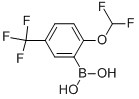 2-difluoromethoxy-5-trifluoromethyl-benzeneboronic acid 结构式