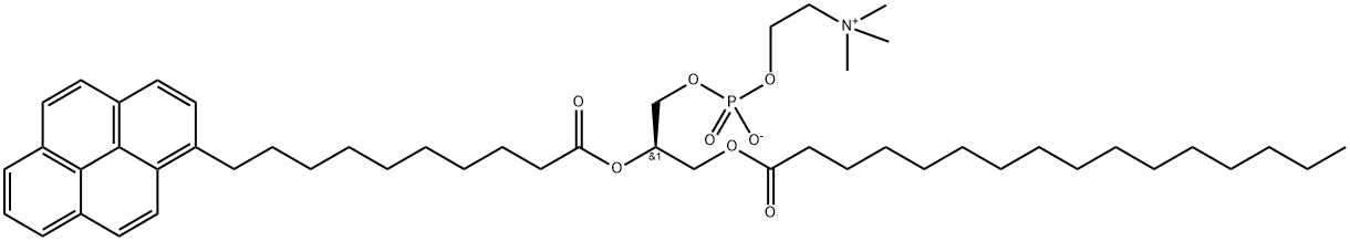 10-Pyrene-PC(1-Palmitoyl-2-pyrenedecanoylPhosphatidylcholine)