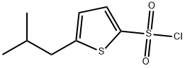 5-异丁基噻吩-2-磺酰氯 结构式
