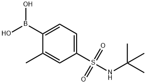 (4-(N-(叔丁基)氨磺酰基)-2-甲基苯基)硼酸 结构式