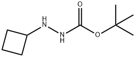 N'-cyclobutyl(tert-butoxy)carbohydrazide 结构式