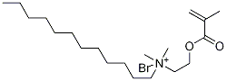 N-(2-(甲基丙烯酰)乙基)-N,N-二甲基-1-十二胺溴化物 结构式