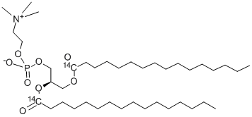 PHOSPHATIDYLCHOLINE, L-ALPHA-DIPALMITOYL, [DIPALMITOYL-1-14C] 结构式