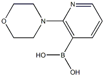 2-吗啉吡啶-3-硼酸 结构式