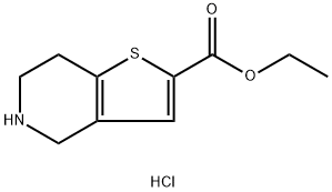 4,5,6,7-四氢噻吩并[3,2-C]吡啶-2-羧酸乙酯盐酸盐 结构式