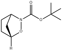 tert-Butyl 2-oxa-3-azabicyclo[2.2.1]heptane-3-carboxylate 结构式