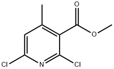 2,6-二氯-4-甲基烟酸甲酯 结构式