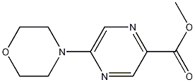 5-(4-吗啉基)-2-吡嗪甲酸甲酯 结构式