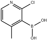 2-氯-4-甲基吡啶-3-硼酸 结构式