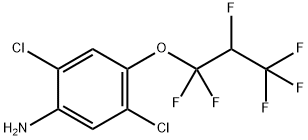 2,5-二氯-4-(1,1,2,3,3,3-六氟丙氧基)苯胺 结构式