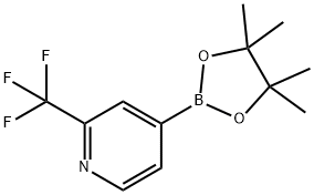 2-三氟甲基吡啶-4-硼酸频哪醇酯 结构式