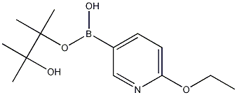 6-乙氧基吡啶-3-硼酸频哪醇酯 结构式