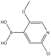 2-Chloro-5-methoxypyridine-4-boronic acid 结构式