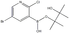 5-溴-2-氯吡啶-3-硼酸频哪酯 结构式