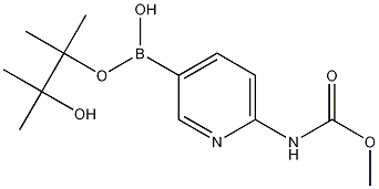 6-Methoxycarbonylaminopyridine-3-boronic acid pinacol ester 结构式