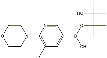 5-Methyl-6-(morpholin-4-yl)pyridine-3-boronic acid pinacol ester 结构式