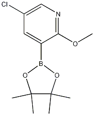 5-氯-2-甲氧基-3-吡啶硼酸片呐酯 结构式