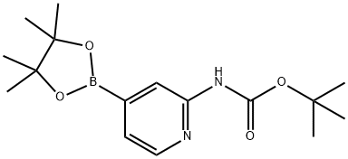 2-(叔丁氧基羰基氨基)吡啶-4-硼酸频那醇酯 结构式