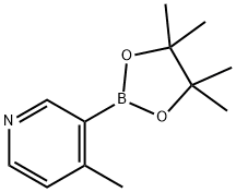 4-甲基吡啶-3-硼酸频哪醇酯 结构式