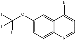 4-溴-6-(三氟甲氧基)喹啉 结构式