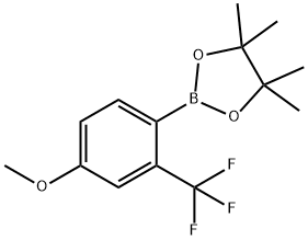 4-METHOXY-2-(TRIFLUOROMETHYL)PHENYLBORONIC ACID, PINACOL ESTER 结构式