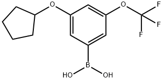 3-(CYCLOPENTYLOXY)-5-(TRIFLUOROMETHOXY)PHENYLBORONIC ACID 结构式