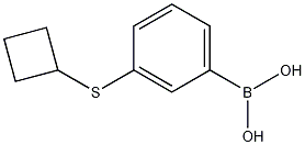 3-(环丁基硫代)苯硼酸 结构式