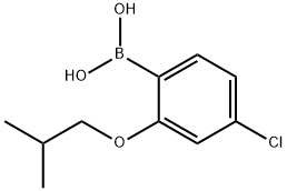 4-氯-2-异丁氧基苯硼酸 结构式