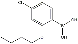 2-丁氧基-4-氯苯硼酸 结构式