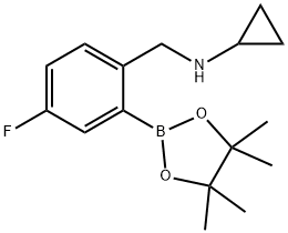 2-(环丙基氨基甲基)-5-氟苯硼酸频那醇酯 结构式