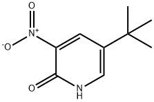 3-Nitro-5-tert-butyl-1H-pyridin-2-one 结构式