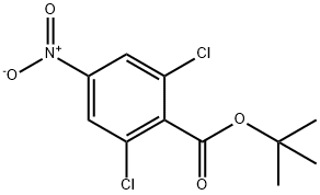 2,6-二氯-4-硝基-苯甲酸叔丁基酯 结构式