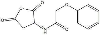(R)-N-(2,5-二氧代四氢呋喃-3-基)-2-苯氧基乙酰胺 结构式
