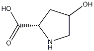4-Hydroxyproline 结构式