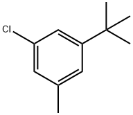 3-T-BUTYL-5-CHLOROTOLUENE 结构式
