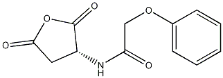 (1-甲基-2,5-二氧代吡咯烷-3-基)氨基甲酸-(R)-苄酯 结构式