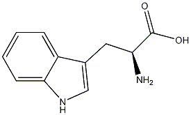 L-Tryptophane 结构式