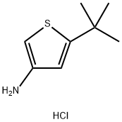 3-Amino-5-tert-butylthiophene hydrochloride 结构式